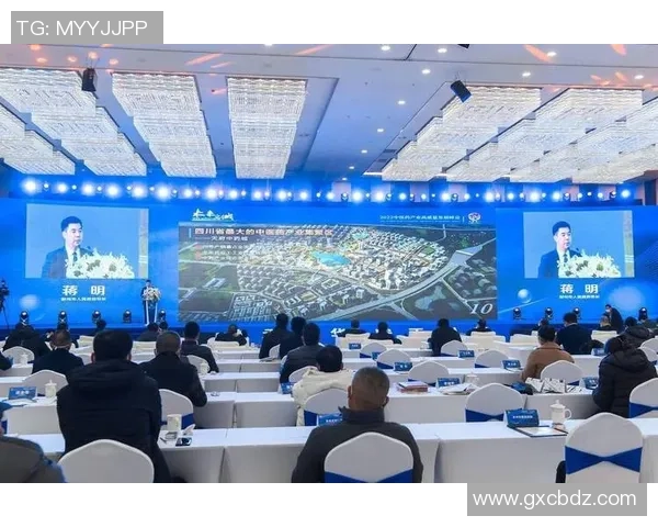 阜阳姚明邦：探索地方文化与现代发展的融合之路